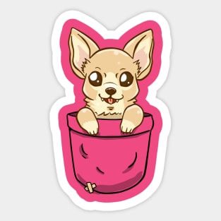 Pocket Cute Chihuahua Sticker